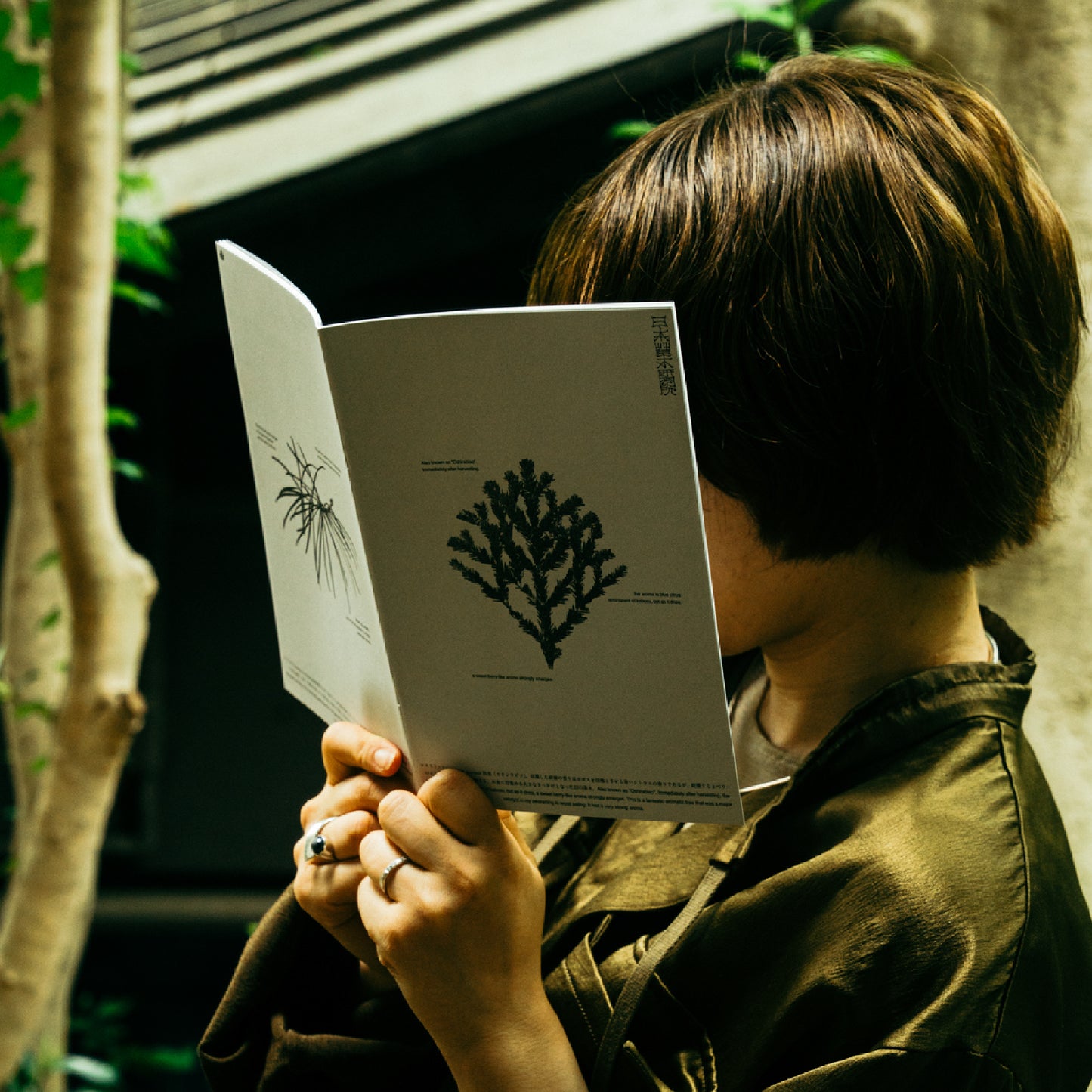 小冊子/日本草木研究所の記録