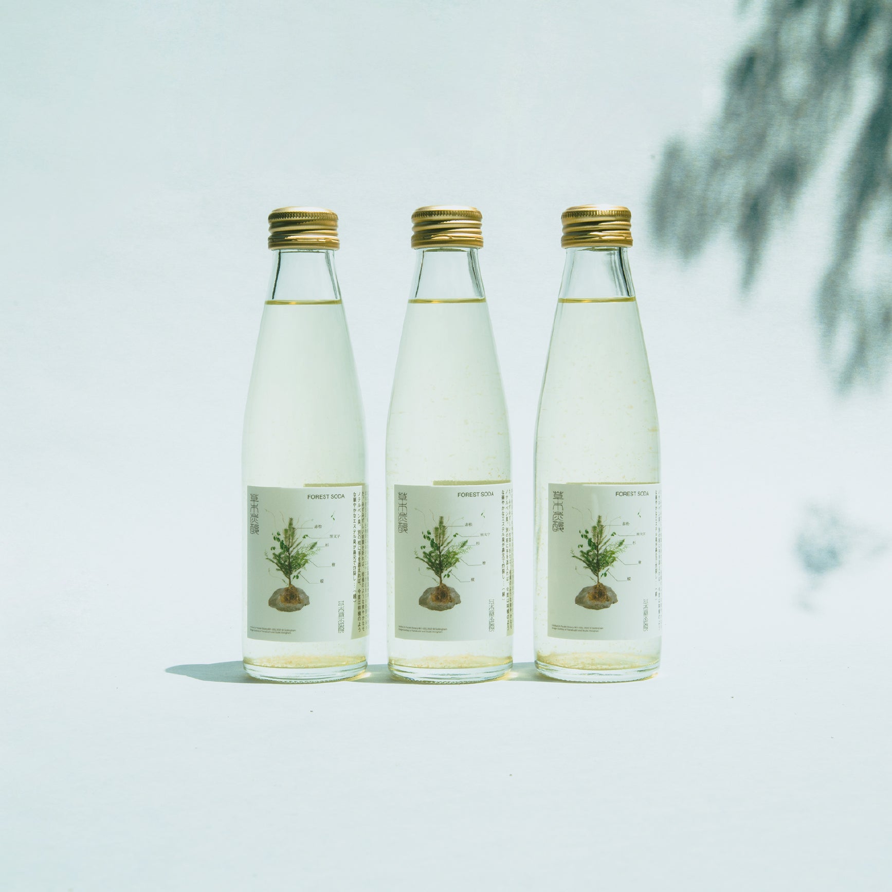 草木炭酸フォレストソーダ