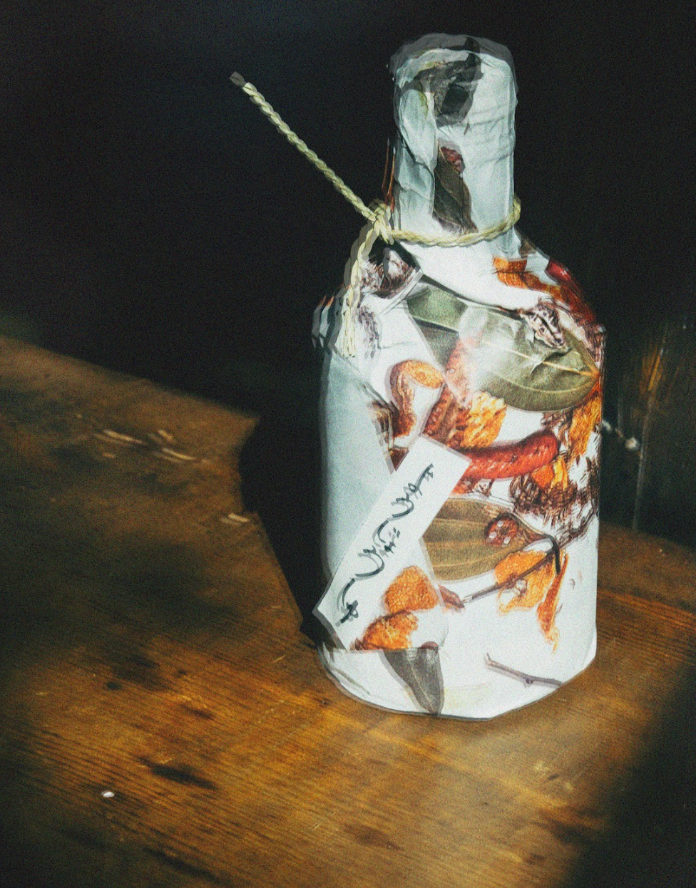 植物養生🌿セット