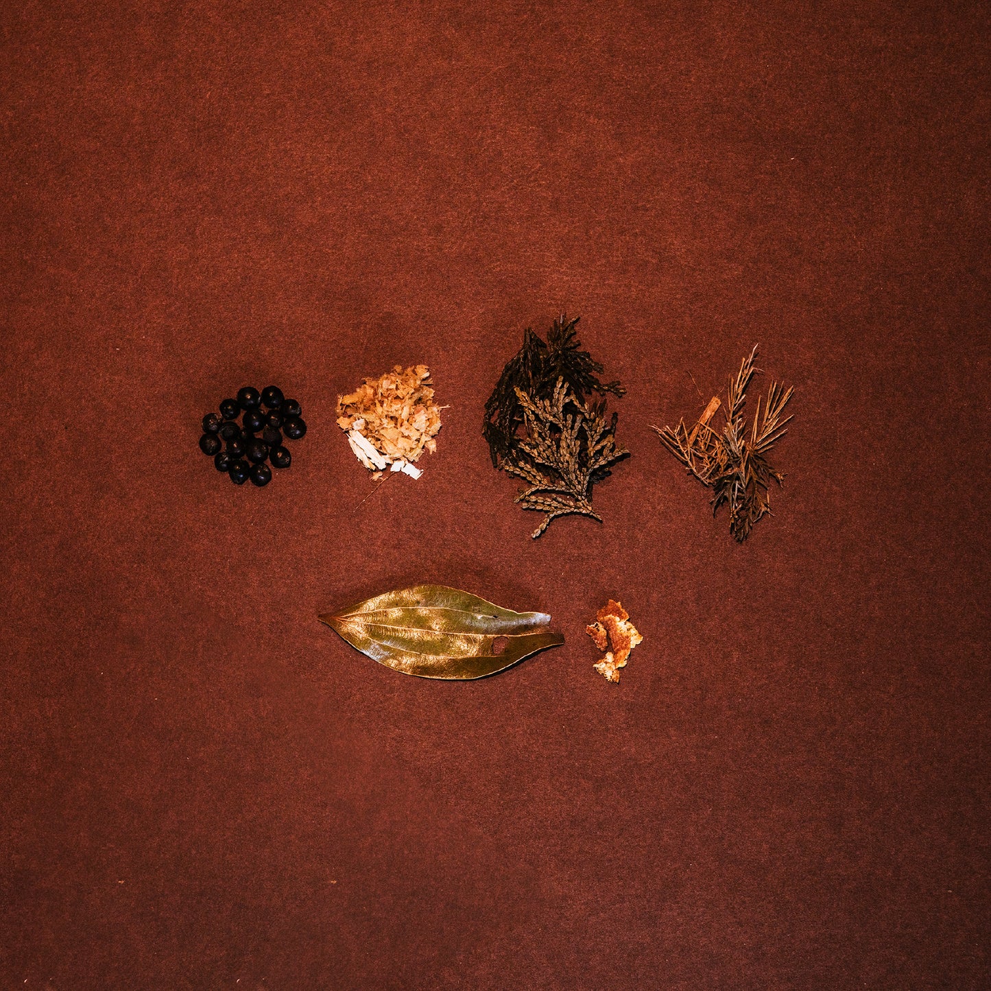 Forest Gin (small)