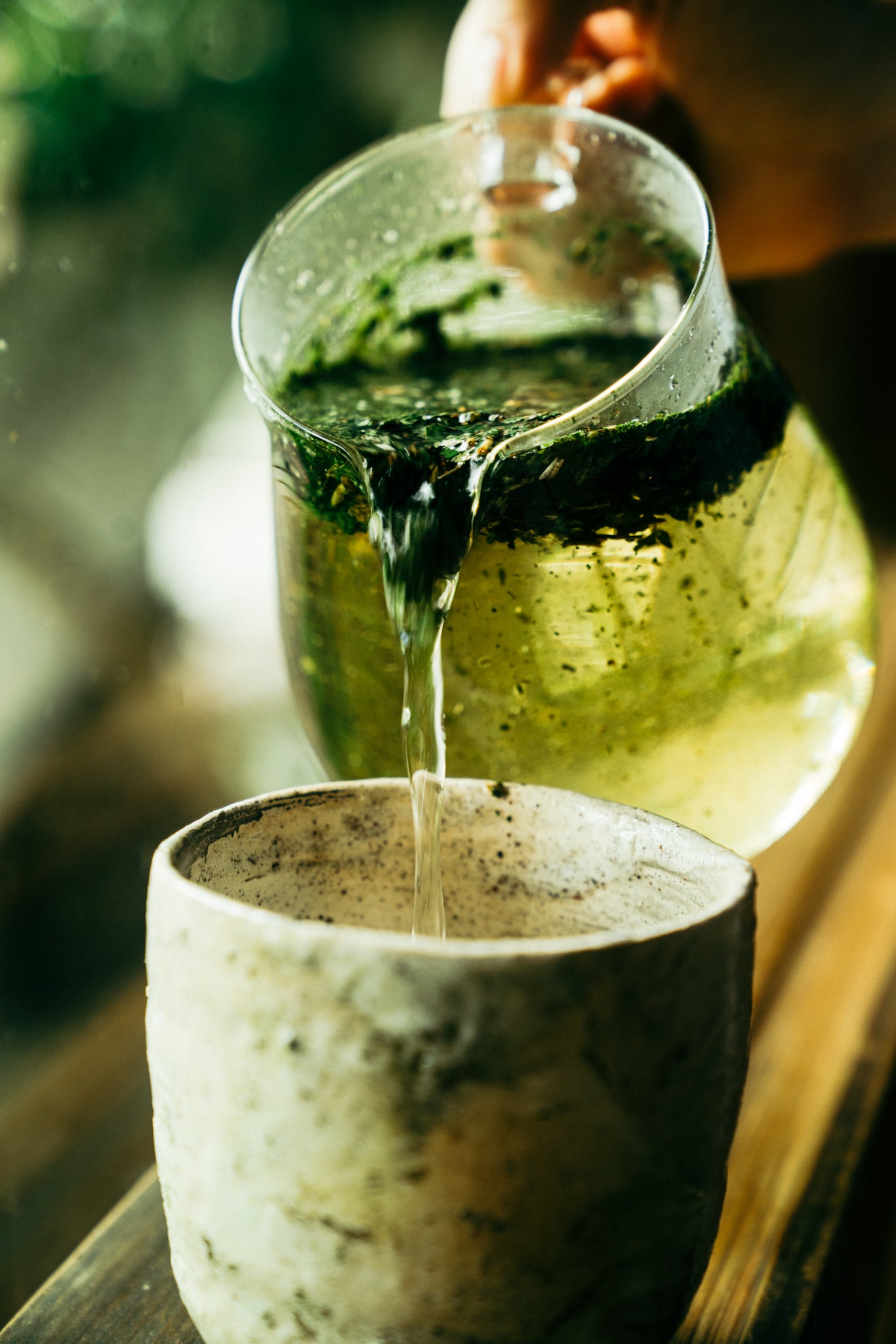 はじめての草木研セット