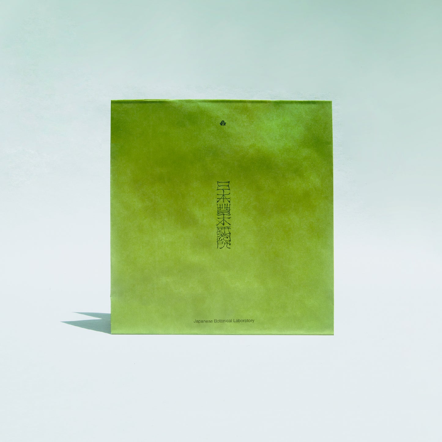 paper bag
