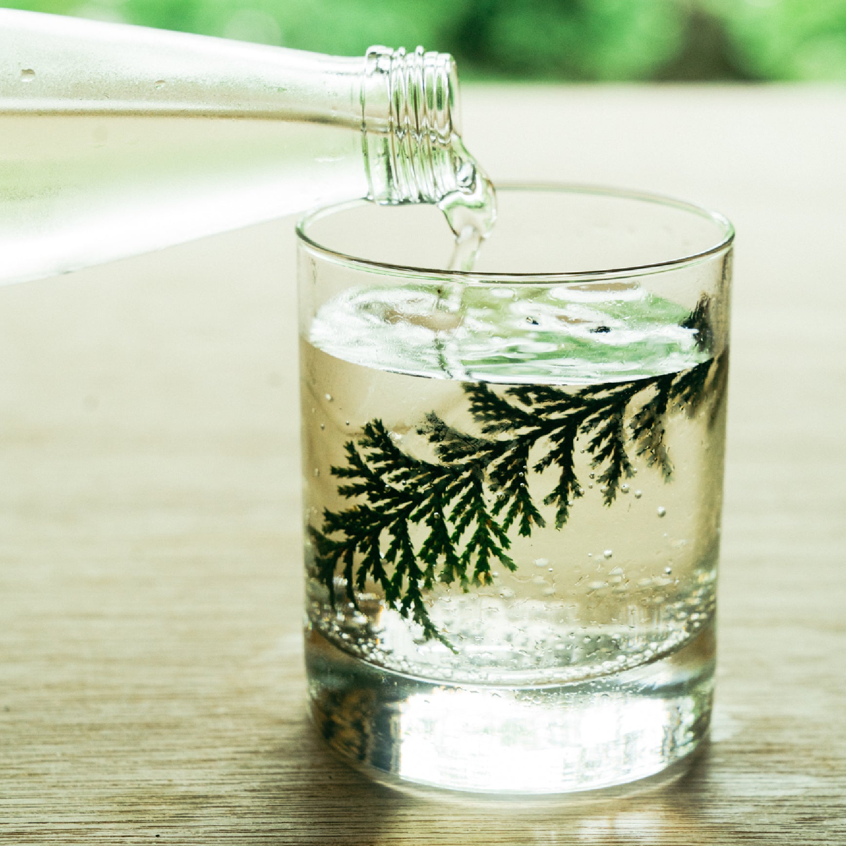 草木炭酸フォレストソーダ