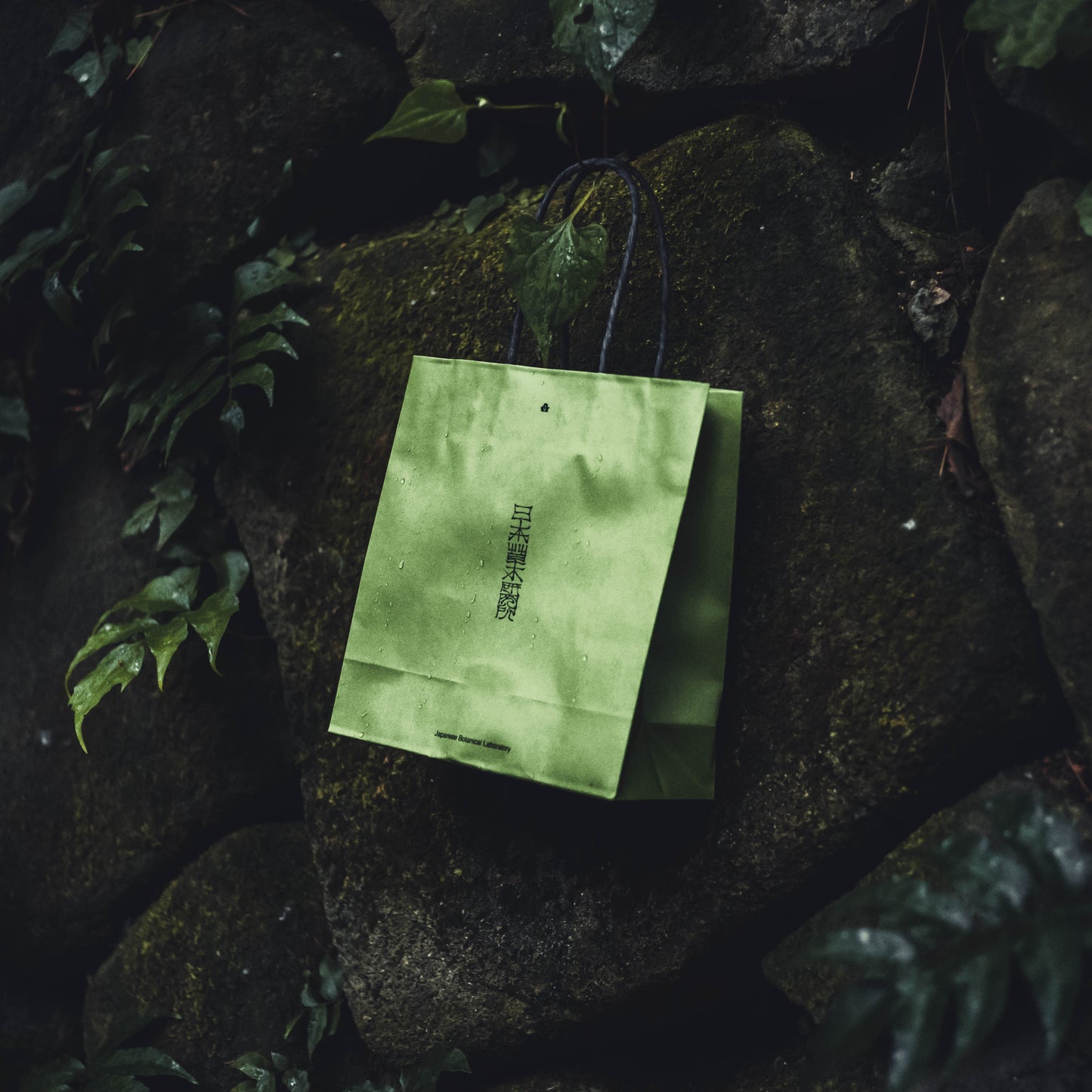 paper bag