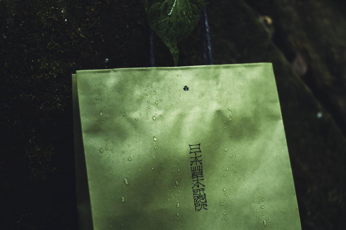 paper bag