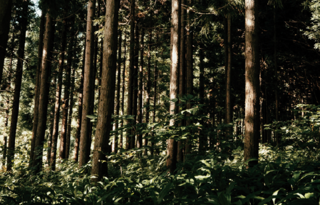 【採用情報】全職種一覧