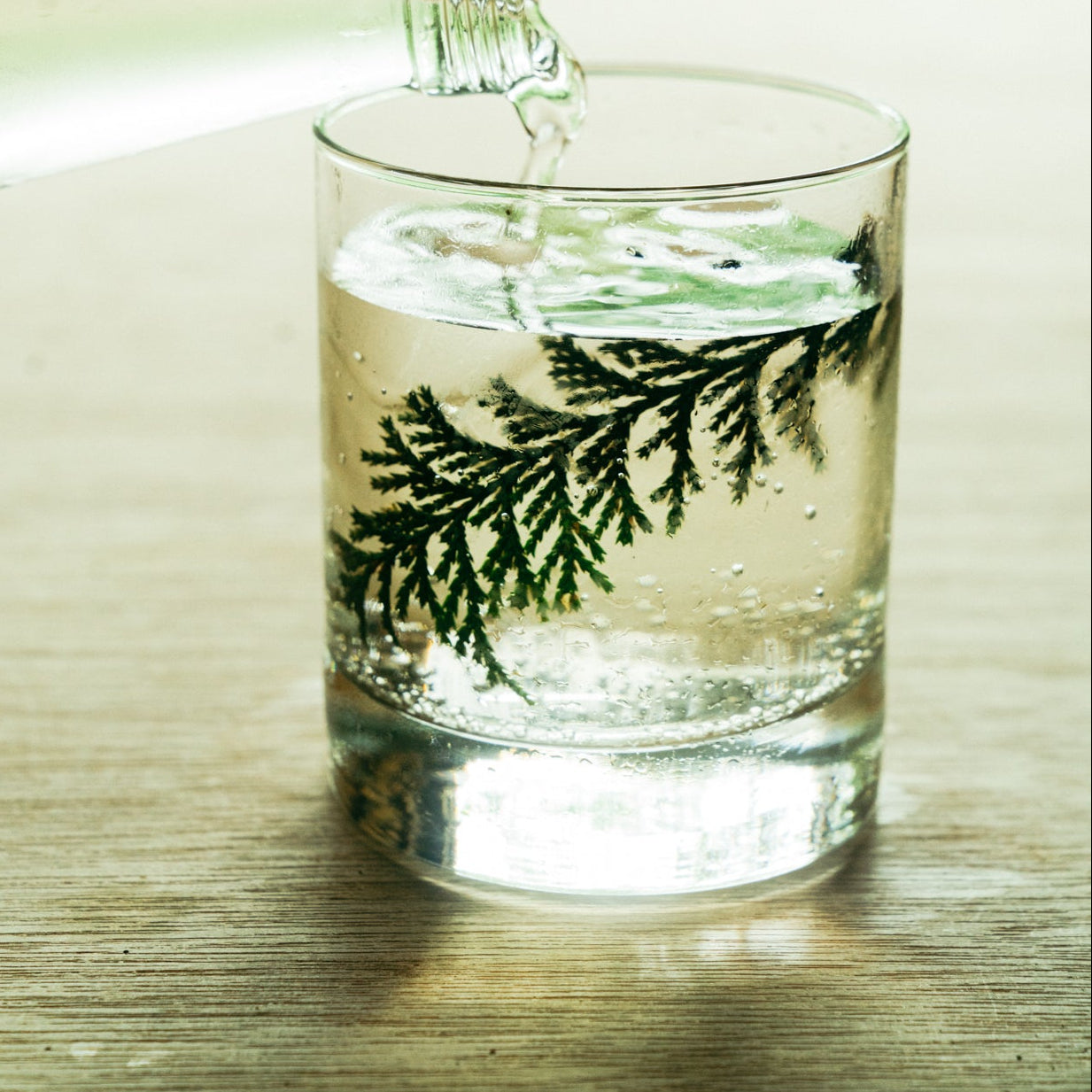 はじめての草木研セット