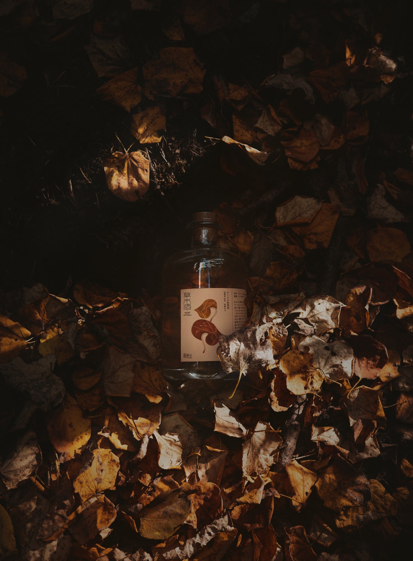 世界に一つの落葉酒 カツーラミルク【予約販売】