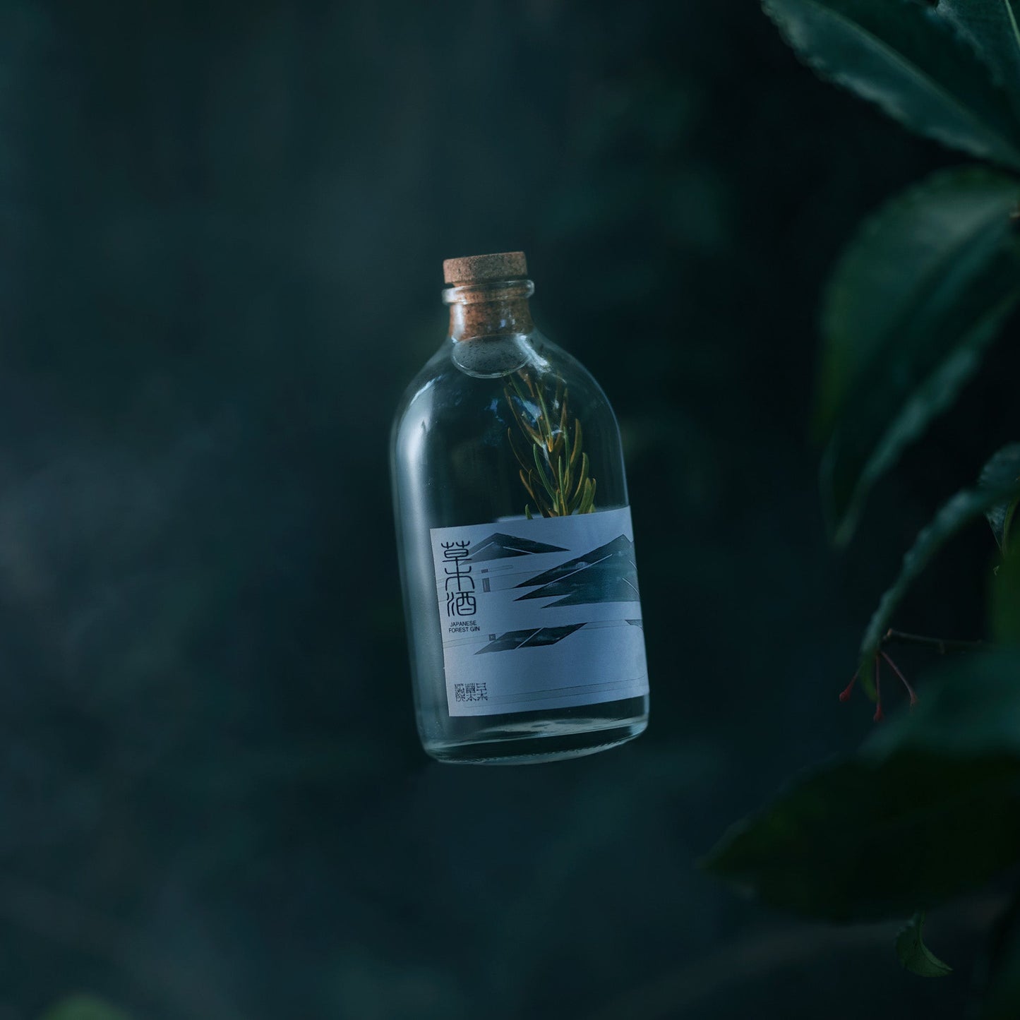 はじめての草木研セット