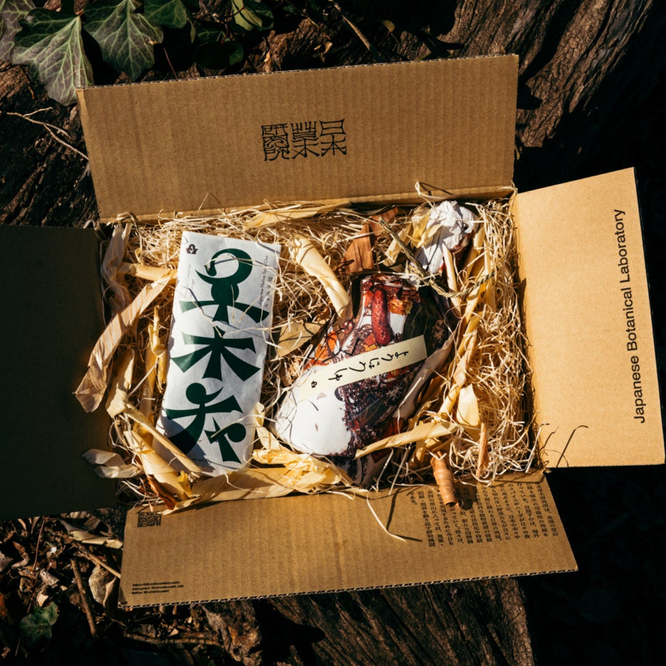 植物養生🌿セット