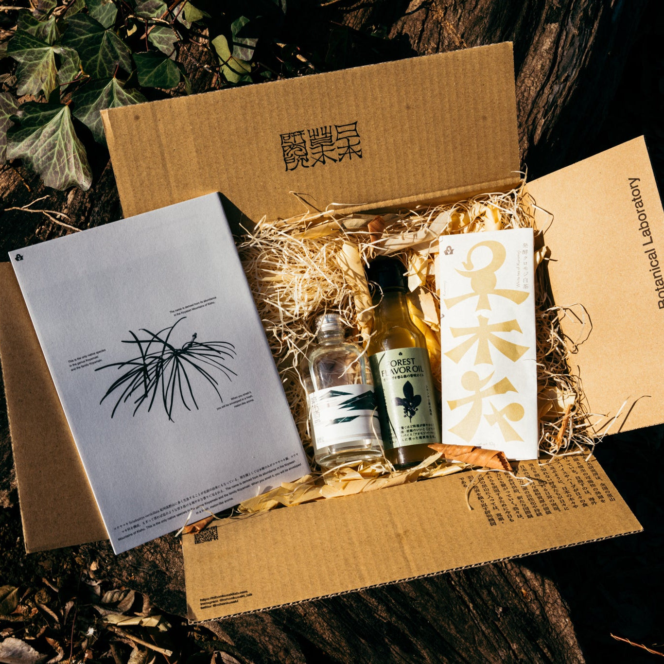 はじめての草木研セット