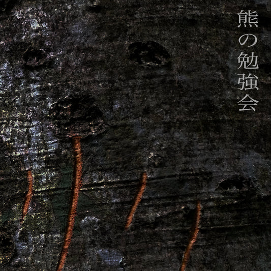 熊の勉強会　アーカイブ