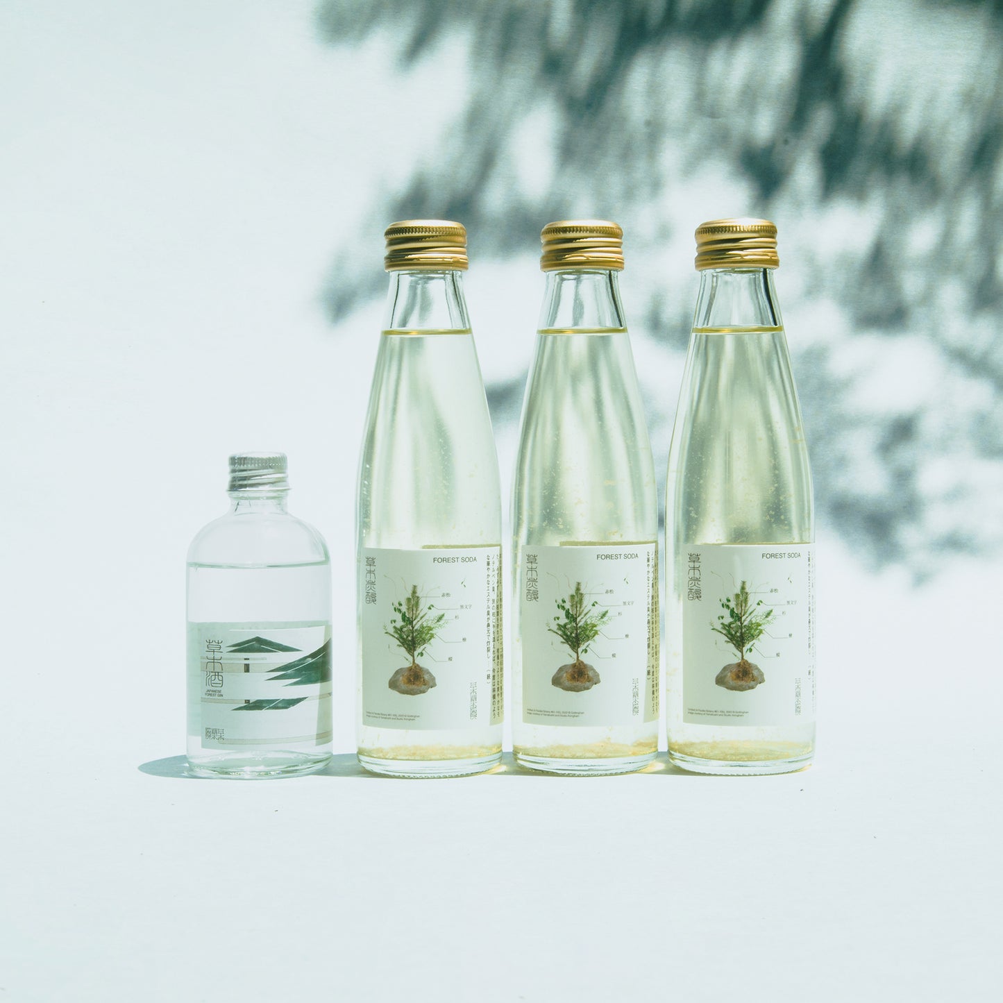 Drinking Forest Bathing Package [Choose from 2 types]