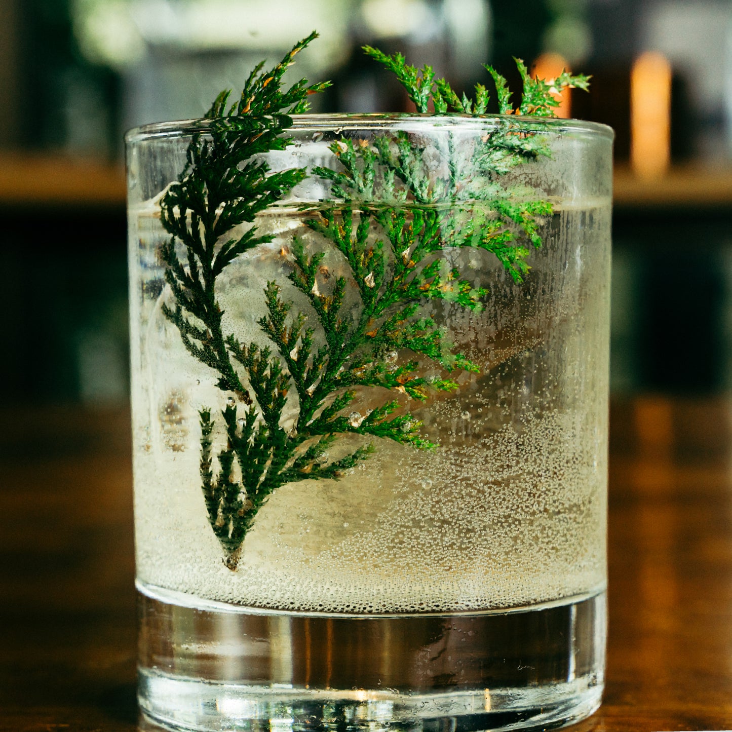 草木酒フォレストジン