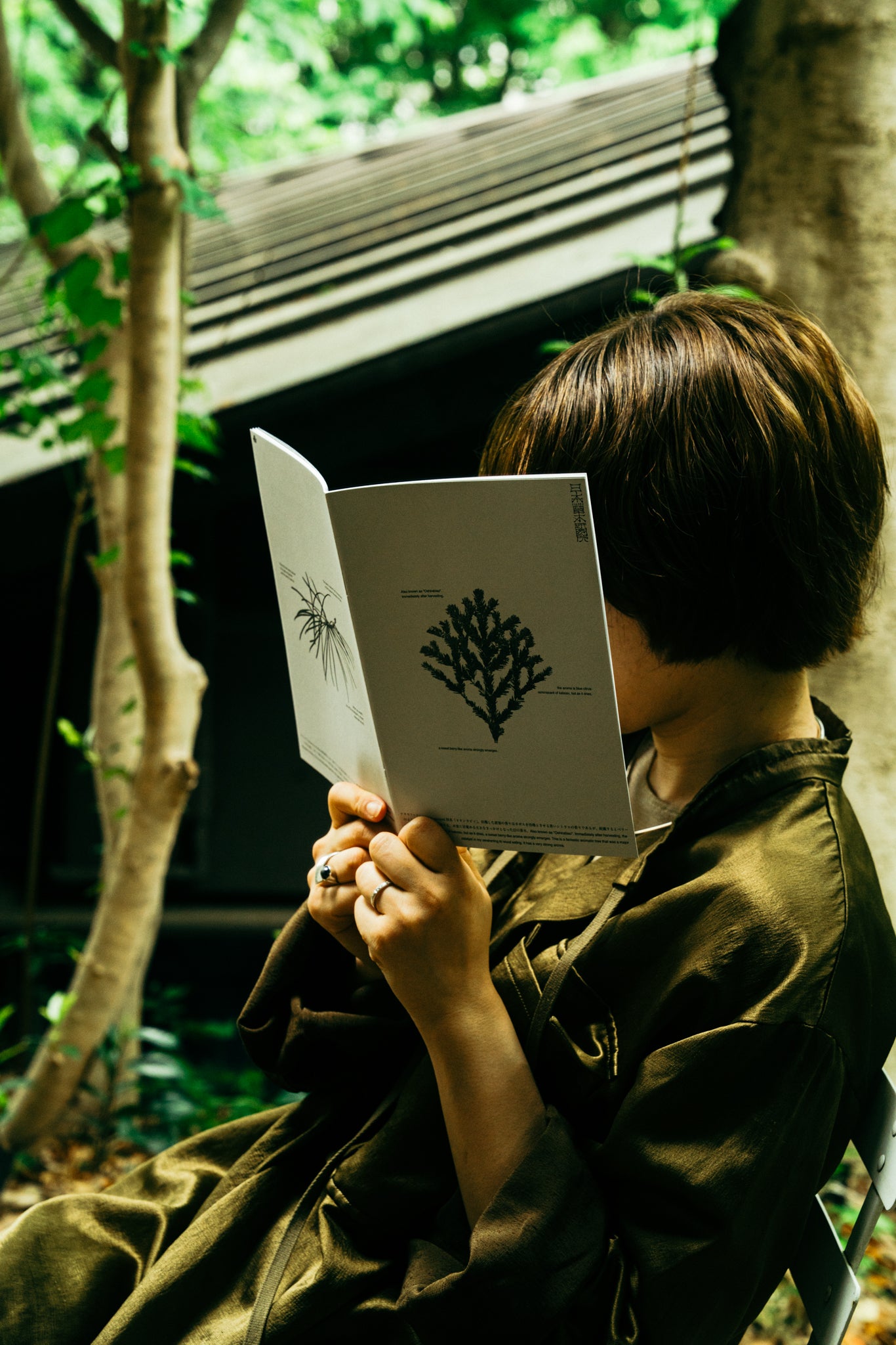 はじめての草木研セット