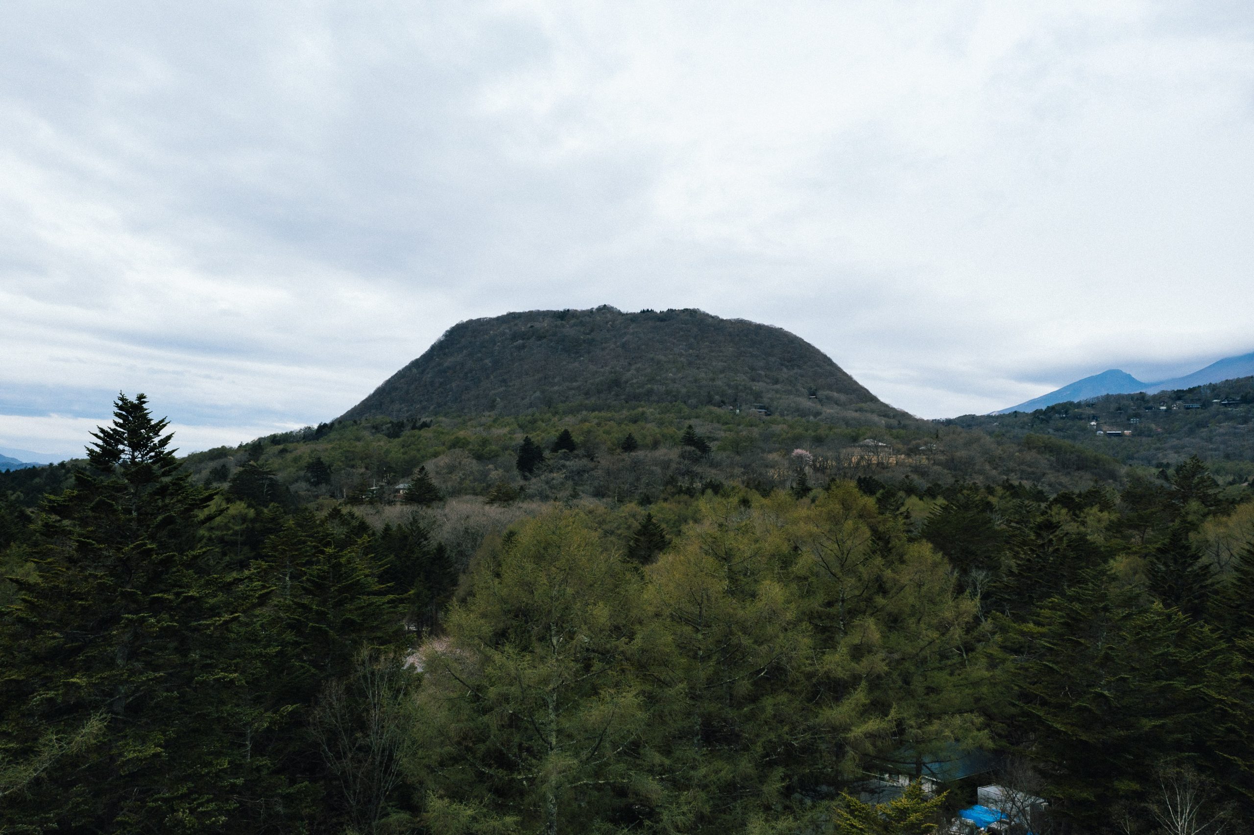 森の食用化を試みる実験｜長野県 軽井沢町に位置する標高1256mの側火山、離山（はなれやま）。頂部が比較的平らであるためテーブルマウンテンともよばれるこの山は明治以来の植林によって覆いつくされている。「木（食）人」は、その山を管理する過程で採られる軽井沢の木々を研究し、食べられる形に変える木食専門ブランドです。